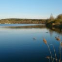 Špinka