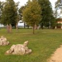 Starý Hrozňatov