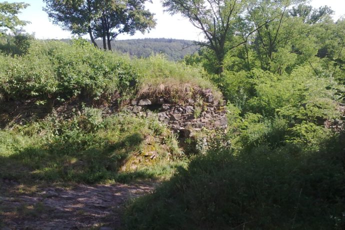 Věžka