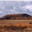 Vladař