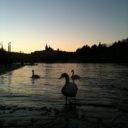 Vltava