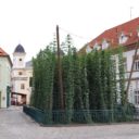Žatec