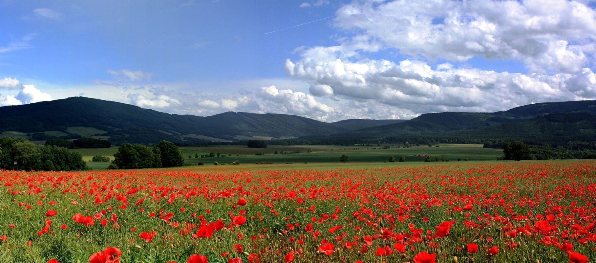 Zlaté Hory město na úpatí Zlatohorské vrchoviny Vyletnik.cz