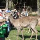 Zoo centrum v Srdově
