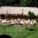 ZOO Lešná Zlín
