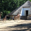 ZOO Lešná Zlín
