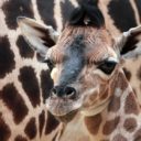 Zoo Liberec