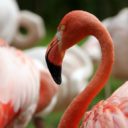Zoo Liberec