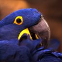 Zoo Liberec