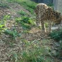 ZOO Olomouc