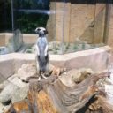 ZOO Olomouc