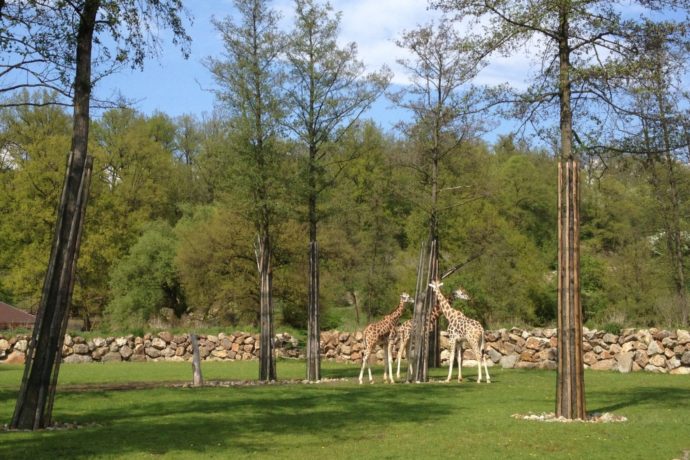 ZOO Plzeň. Autor: © Redakce Vyletnik