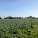 Areál Československého opevnění Hlučín