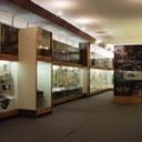 Historická budova Slezského zemského muzea