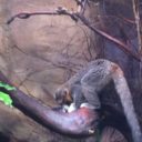 ZOO Ostrava