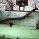 ZOO Ostrava