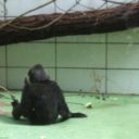 ZOO Ostrava