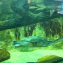 ZOO Ostrava