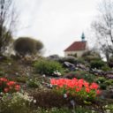Botanická zahrada v Troji se opět otevře veřejnosti