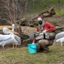 ZOO PRAHA děkuje za podporu veřejnosti