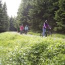 Harrachov v létě – Vzrušující zážitky i pomalu plynoucí pohoda
