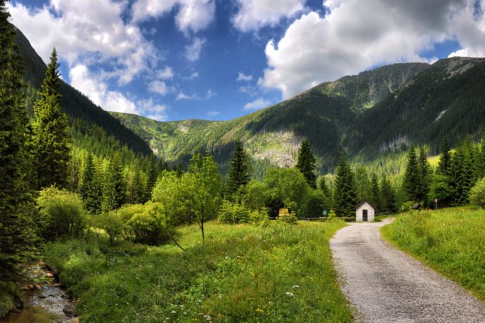 Správa KRNAP vrací široké lesní cesty přírodě, tvoří z nich turistické pěšiny