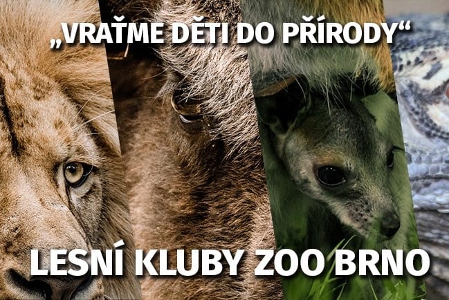 Zoo Brno přichází s novinkou – prázdninové lesní kluby pro děti