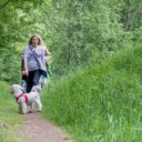 HOTELY SRNÍ – relax přímo v srdci Národního parku Šumava