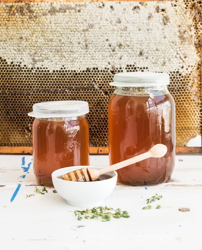 Výběr těch nejlepších ingrediencí přímo z přírody, foto: Envato