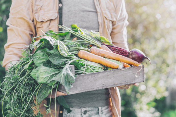 Nakupujte u místních farmářů, foto: Envato