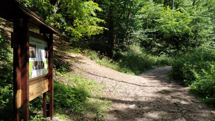 Srdcem Českého krasu, foto: NET4GAS