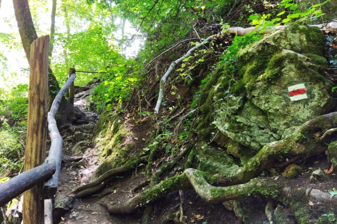 Srdcem Českého krasu