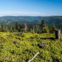 Jeseníky v létě nabídnou nové atrakce, kraj podpoří turistický ruch