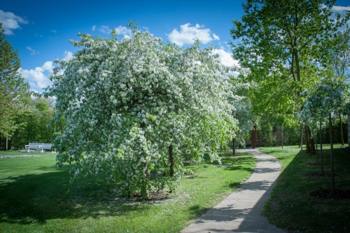© Foto: Centrum řemesel a bylinné zahrady Botanicus