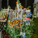 Letní Flora Olomouc připomene léčivou moc přírody i dávné visuté zahrady. Místo v programu má také letní For Model