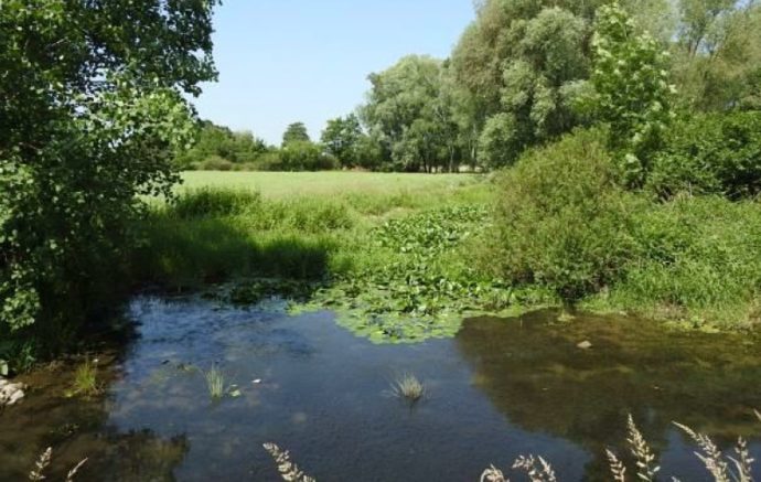 Foto: © Český svaz ochránců přírody
