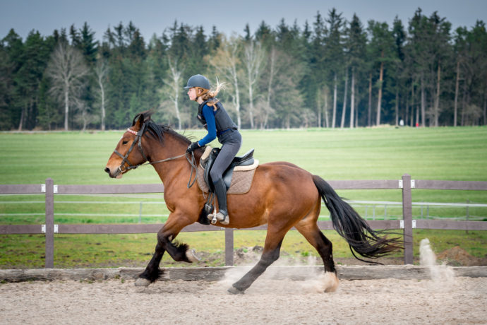 Dolní Jelení, Foto: Hanka Krejbichová