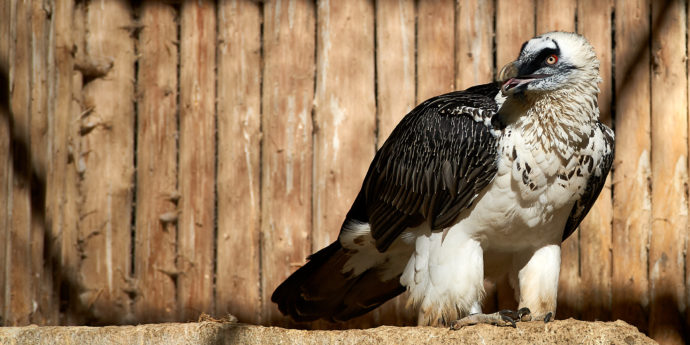 Foto: © Zoo Liberec