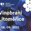 Vinobraní Litoměřice