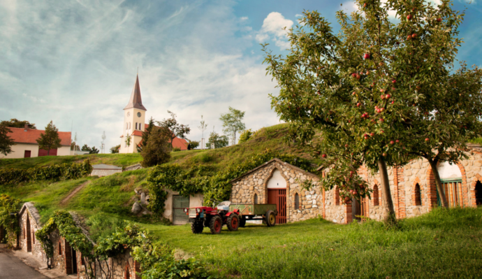 Vrbice, Foto: © Centrála cestovního ruchu Jižní Morava