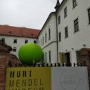 Průlomové Mendelovy dny, aneb otec genetiky překvapuje i dnes