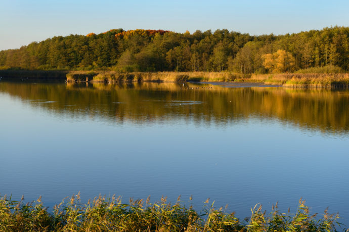  Bohdanečský rybník . Foto: ©Pardubicko