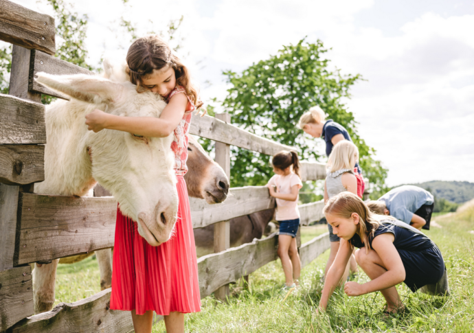 Foto: ©Niederösterreich Werbung/ Stefan Fuertbauer - www.stefanfuertbauer.com