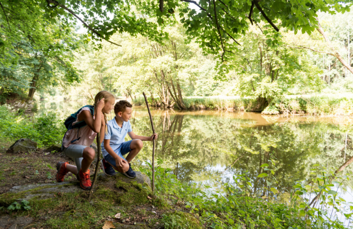 Foto: ©Waldviertel Tourismus, Studio Kerschbaum