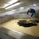 Pardubické pivo slaví 150 let