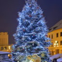 Táborský advent a Vánoce 2021