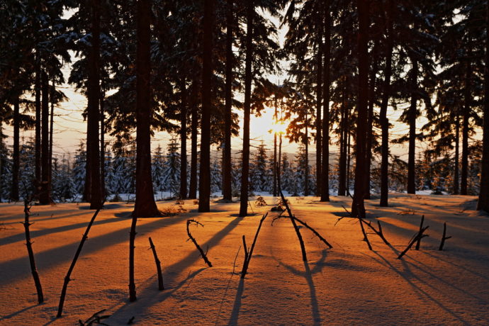 Foto: ©Sportovní areál Harrachov