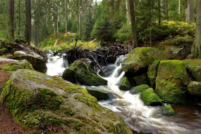 V bavorské Šumavě za hranicí se chystá ME v biatlonu, hotely čekají hodně hostů