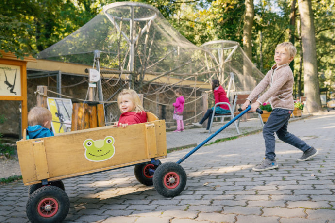 Zoo Děčín bilancuje: Rok 2021 jsme ukončili se vztyčenou hlavou