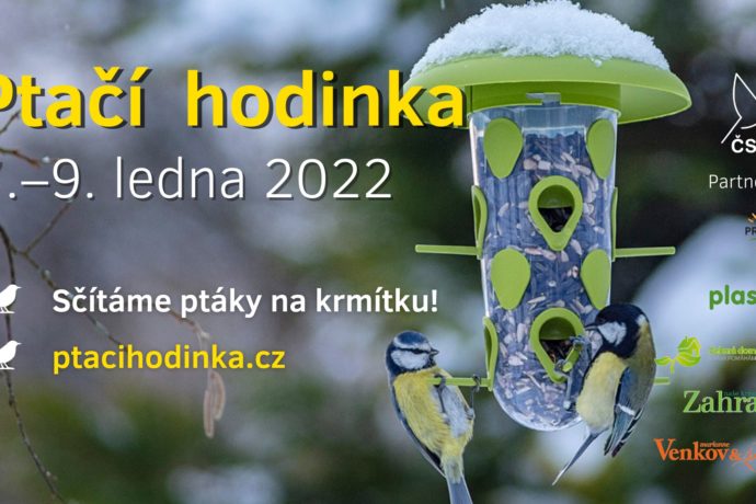 Ptačí hodinka 2022. Sčítání ptáků na krmítku